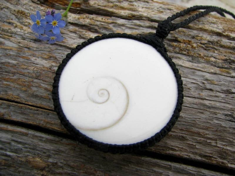 Shiva Eye pendant , Shiva Necklace, Shiva shell, Teen gift idea