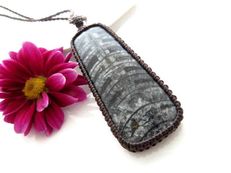 Macrame Orthoceras Fossil Necklace: Geology Gemstone Pendant