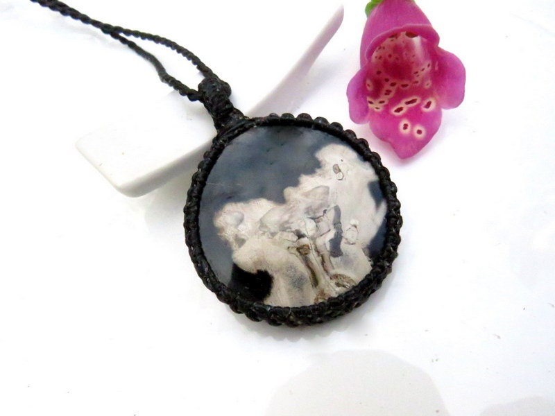 Petrified Palmwood necklace, petrified wood