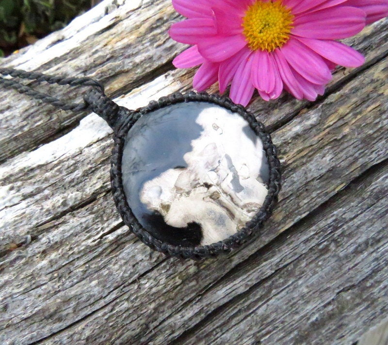 Petrified Palmwood necklace, petrified wood