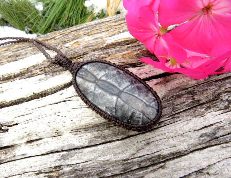 Orthoceras fossil necklace, fossil jewelry