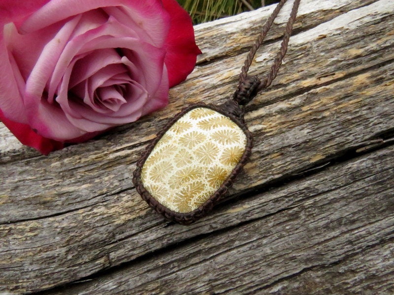 Agatized Coral Necklace, Fossil Coral jewelry