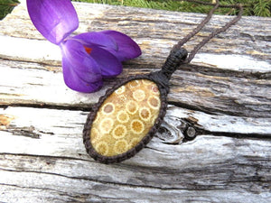 Agatized coral macrame necklace, fossilized coral pendant, fossil agate jewelry, mothers day, gift ideas for her, beach theme jewelry gifts