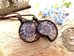 Ammonite necklace set, ammonite jewelry, ammonite pendant, ammonite fossil, soulmate gift, soulsister gift, best friend gift, father gift