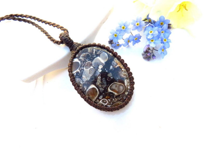 Turritella Fossil Macrame Necklace: Agate Snail Pendant, History Lover Gift