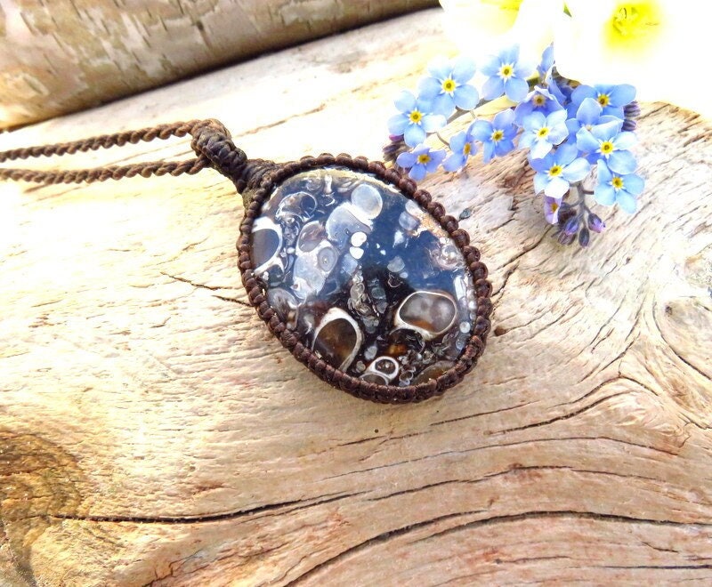 Turritella Fossil Macrame Necklace: Agate Snail Pendant, History Lover Gift