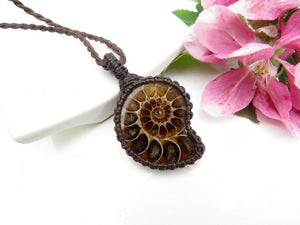 Ammonite Necklace, ammonite fossil jewelry, fossil necklace, macrame jewelry, boyfriend jewelry gift