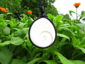 Shiva Eye Shell Protection necklace, Shiva Eye jewelry, Shiva Eye necklace, Beach accessories, Spiral necklace, Positive energy stone