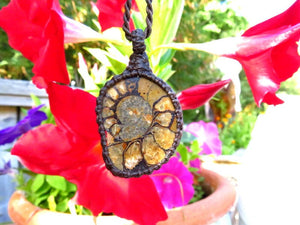 Ammonite macrame necklace, ammonite hematite necklace, ammonite pendant, ammonite jewelry, fossil necklace, ammolite, macrame jewelry