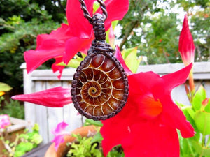 Ammonite macrame necklace, ammonite jewelry, ammonite pendant, gemstone jewelry, crystal jewelry, macrame jewelry, gift for him, boyfriend