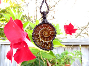 Christmas gift ideas, Ammonite macrame necklace, ammonite necklace, ammonite pendant, fossil necklace, macrame jewelry, gemstone