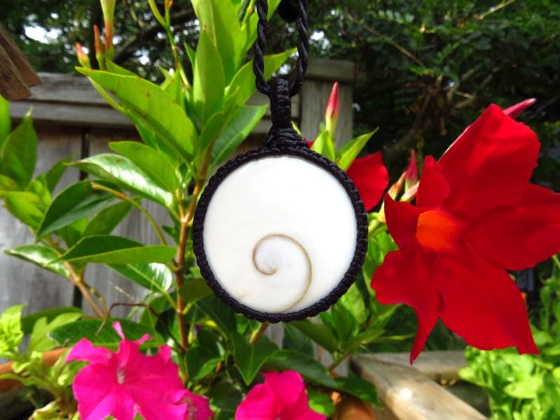 Shiva Eye Shell Protection necklace, Shiva Eye jewelry, Shiva Eye necklace, Beach accessories, Spiral necklace, Positive energy stone