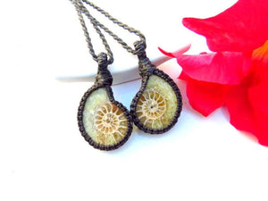 Ammonite necklace set, ammonite jewelry, ammonite pendant, ammonite fossil, soulmate gift, soulsister gift, best friend gift, father gift