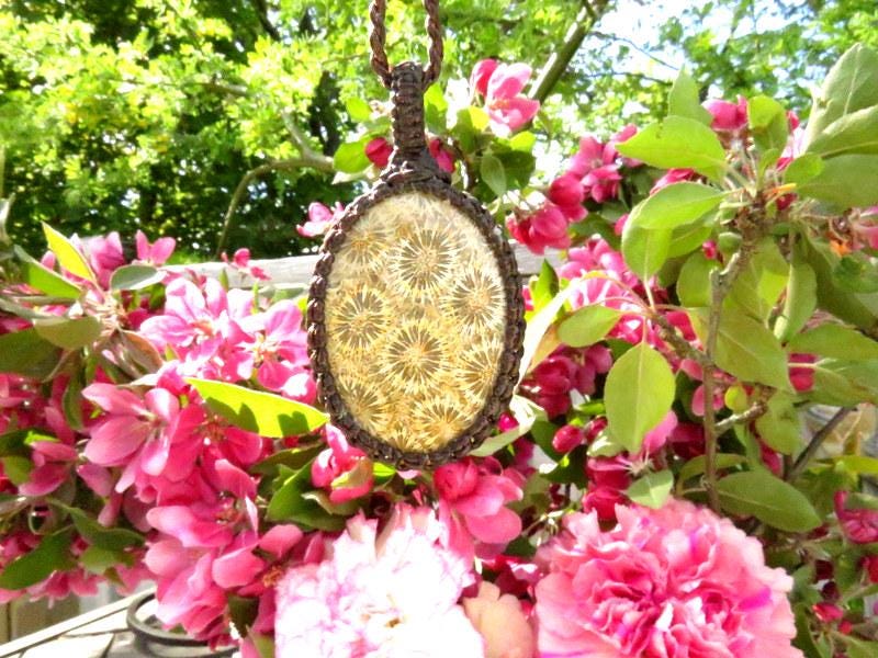 Agatized Coral Macrame Necklace: Fossilized Coral Pendant, Beach Jewelry