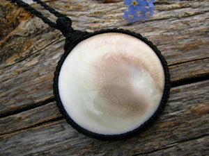 Shiva Eye pendant , Shiva Necklace, Shiva shell, Teen gift idea