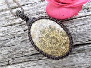 Agatized Coral Macrame Necklace.