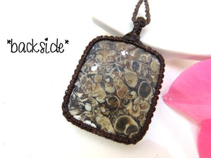 Turritella Agate necklace / fossil jewelry / shell necklace / unisex necklace / beach lover / turritella for sale / turritella meaning