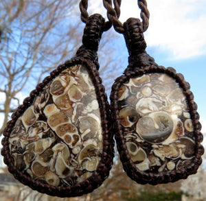 Turritella Agate necklace set, turritella agate jewelry, turritella fossil, turritella necklace, turritella agate meaning, turritella fossil