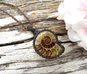 Ammonite Macrame Necklace, Husband gift, Wife gift, Ammonite jewelry, Father's day gift, Boyfriend gift, gift for the friend on the mend